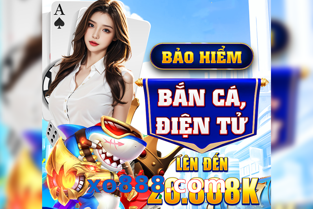 xo888.com
